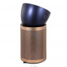 Очиститель воздуха Dyson Purifier Big + Quiet Formaldehyde BP04 (Blue/Gold) 