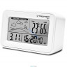 Метеостанция (Гигрометр) Trotec BZ01 